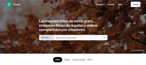 Pexels  on trobar les millors imatges gratis?
